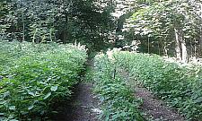 Wirtualna rzeczywistość Akademii Wychowania Fizycznego