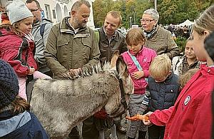 Świętuj ze świętym Franciszkiem i Lasem Bielańskim
