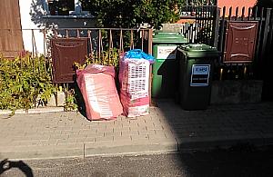 Rewolucja śmieciowa: mnóstwo ofiar