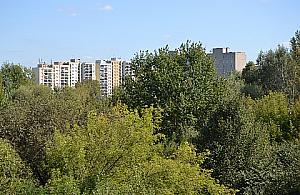 Park na Tarchominie? Jestem na "nie"