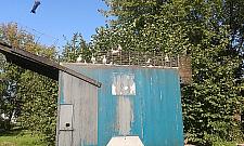 Gołębiologia znad Kanału Bródnowskiego