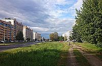 Światowida: zielona aleja zamiast ulicy - zbierają już podpisy