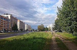 Światowida: zielona aleja zamiast ulicy - zbierają już podpisy