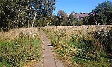 Petofiego: kiedyś bawiły się tu dzieci, a teraz...