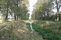 Co zrobić z Kanałem Nowe Ujście?