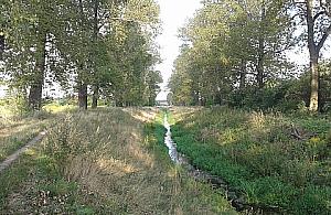 Co zrobić z Kanałem Nowe Ujście?