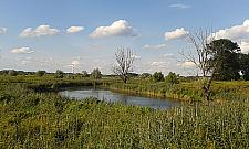 Co zrobić z Kanałem Nowe Ujście?