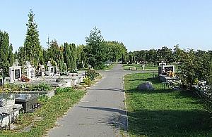 Specjalny autobus na cmentarz Północny już od soboty