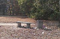 Sami musimy sprzątnąć tereny nad Wisłą