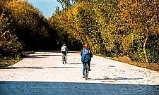 Czytelnik: stada dzików na Nadwiślańskim Szlaku Rowerowym