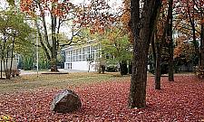 Park trampolin wyląduje na Cegłowskiej. Bez trampolin