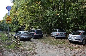 Samochodem do lasu: pośmiewisko ze świętego Franciszka