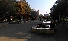 Amfiteatr i boisko w parku Wiecha? Na razie monitoring