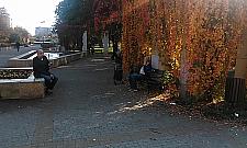 Amfiteatr i boisko w parku Wiecha? Na razie monitoring