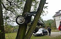 Skuterem zaparkował na drzewie