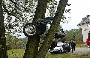 Skuterem zaparkował na drzewie