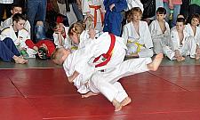 Lemury zapraszają na swój pierwszy turniej. Wkręć się w judo!