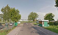 Strach? Tylko na przejściach dla pieszych