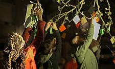 Wspólny eksperyment Palmera i Szekspira