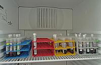 Ciąża bez konfliktu: zgłoś się na bezpłatne badania!