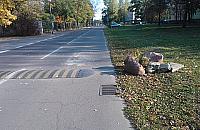 Kierowcy i piesi: zawsze po dw�ch stronach barykady?