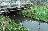 Jak wypoczywać nad Kanałem Bródnowskim, skoro wciąż cuchnie?