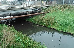 Jak wypoczywać nad Kanałem Bródnowskim, skoro wciąż cuchnie?