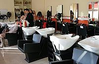 Fryzjer za darmo? Na Mieszka!