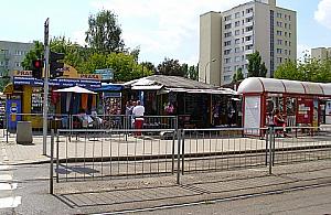 Trzeba po prostu lubić ludzi i chcieć z nimi rozmawiać