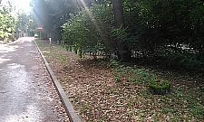 Możliwe jest zbudowanie osiedla domków w Lesie Bemowskim?