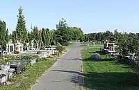 Rowerem na grób nie dojedziemy, samochodem tak