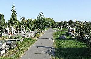 Rowerem na grób nie dojedziemy, samochodem tak