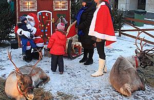 Świąteczna impreza na Chłodnej