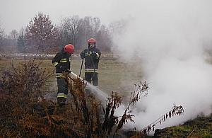 Płonęły torfowiska. Podpalenie?