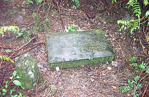 Protestancki cmentarz na Kamykowej służy za śmietnik