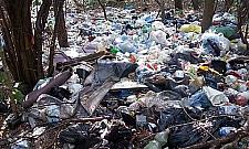 Zdjęcie, które uczyniło cuda. Jest czysto na Kobierzyckiej!