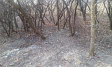 Zdjęcie, które uczyniło cuda. Jest czysto na Kobierzyckiej!