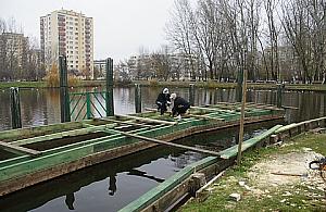 Nowy pomost na Stawach Brustmana