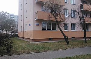 Karaluchy łażą nawet po domofonach: plaga na Majowej