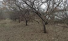 Aktywiści z Bemowa walczą o ogród w Forcie Bema