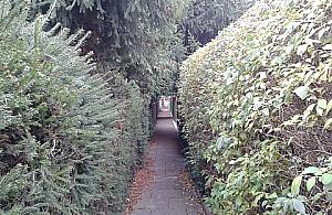 W osiedlu Przyjaźń sceneria jak z filmu