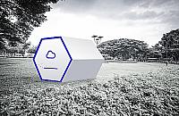 Wielki ul w parku Wiecha - poobserwujemy pszczoły i pooddychamy