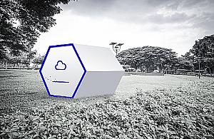 Wielki ul w parku Wiecha - poobserwujemy pszczoły i pooddychamy