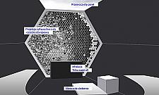 Wielki ul w parku Wiecha - poobserwujemy pszczoły i pooddychamy