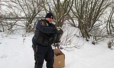 Masowo skarżymy się na wolno biegające zwierzęta