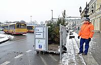Trwa zbiórka choinek. Gdzie w tym sens?