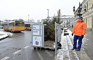 Trwa zbiórka choinek. Gdzie w tym sens?