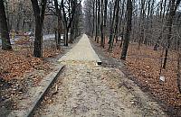 Autobusy elektryczne pojadą ulicą Dewajtis do UKSW?