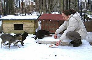 Batalia o koty: kiedy opiekun nie sprząta