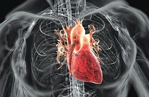 Dokąd z dzieckiem? Na Uniwersytet!